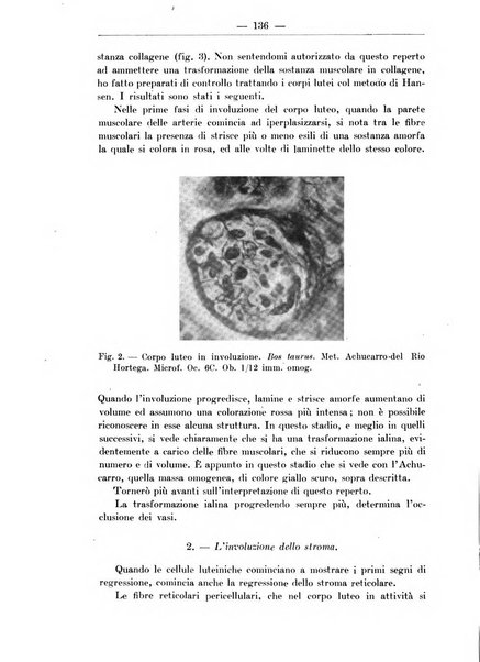 Monitore zoologico italiano