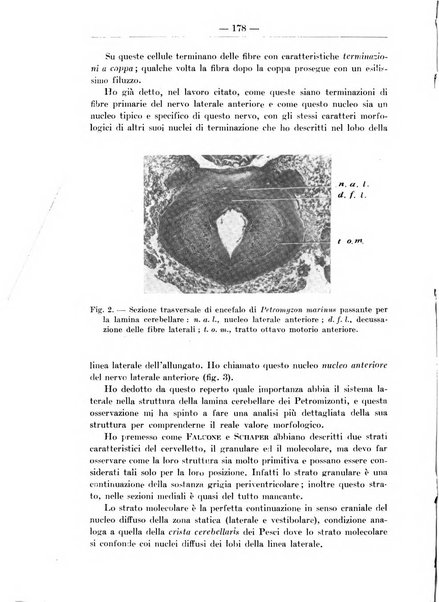 Monitore zoologico italiano