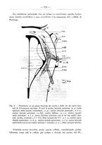 giornale/TO00014635/1935/unico/00000223