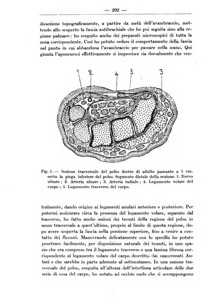 Monitore zoologico italiano