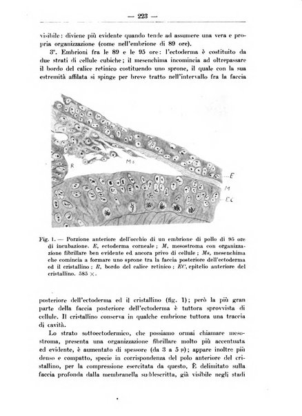 Monitore zoologico italiano