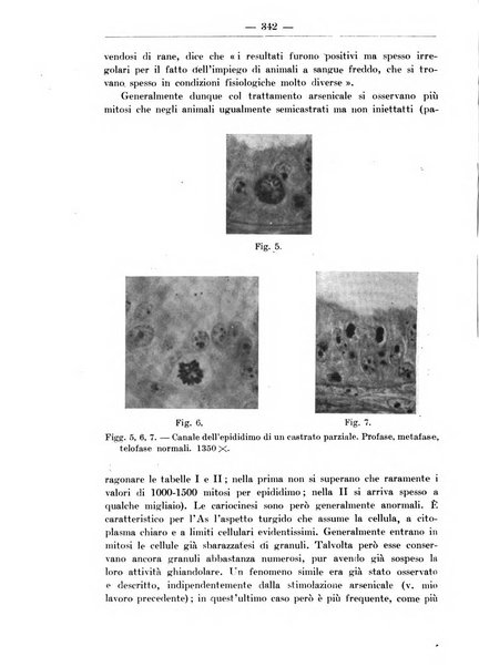 Monitore zoologico italiano