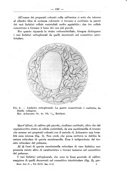 Monitore zoologico italiano