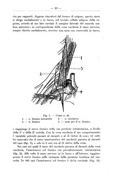 Monitore zoologico italiano