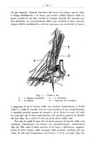 giornale/TO00014635/1936/unico/00000027