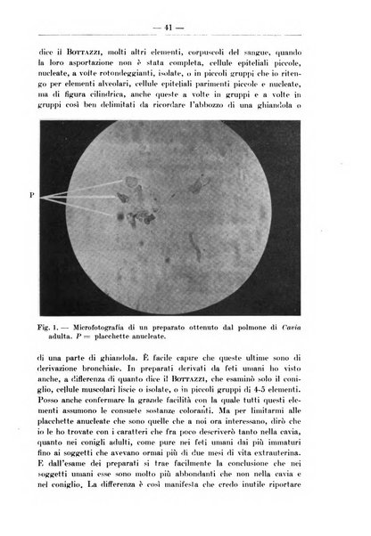 Monitore zoologico italiano