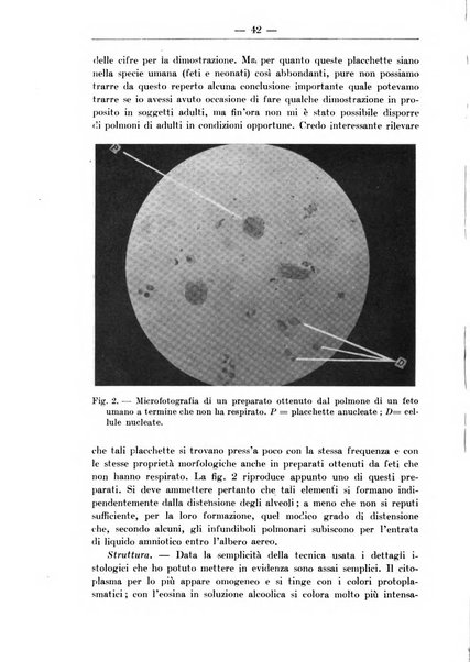 Monitore zoologico italiano