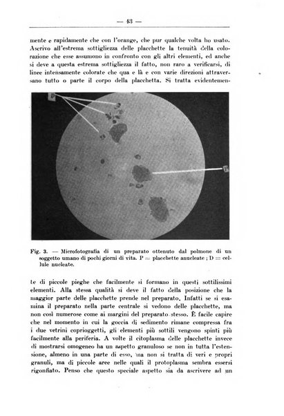 Monitore zoologico italiano