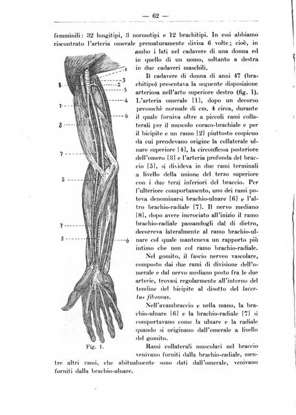 Monitore zoologico italiano