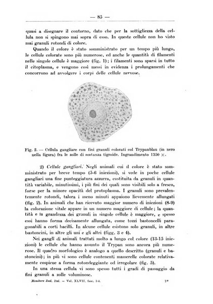 Monitore zoologico italiano