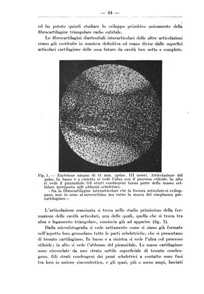 Monitore zoologico italiano