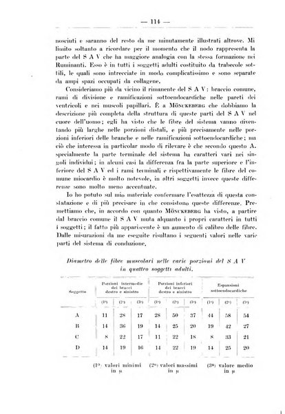 Monitore zoologico italiano