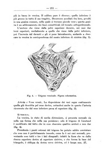 Monitore zoologico italiano