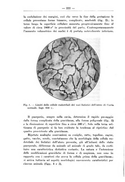 Monitore zoologico italiano