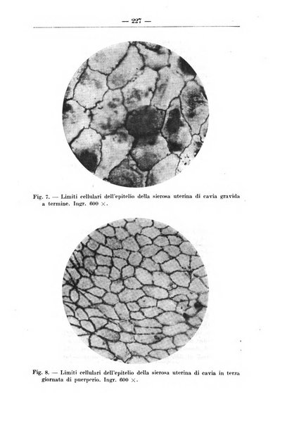 Monitore zoologico italiano