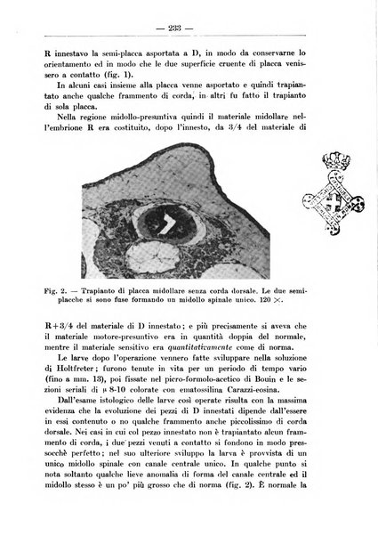 Monitore zoologico italiano