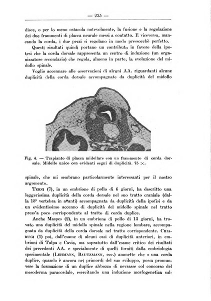 Monitore zoologico italiano