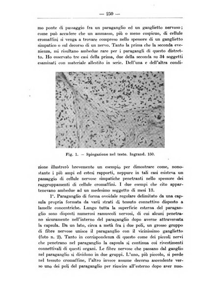 Monitore zoologico italiano