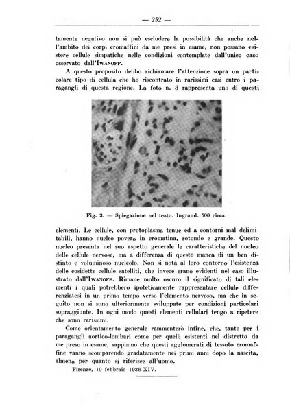 Monitore zoologico italiano