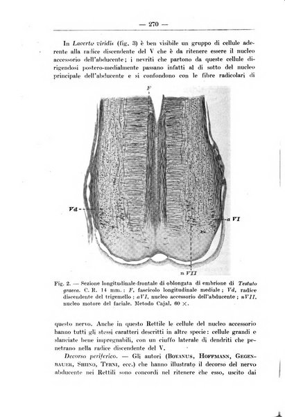 Monitore zoologico italiano