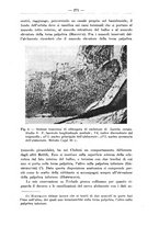 giornale/TO00014635/1936/unico/00000319