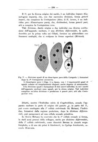 Monitore zoologico italiano