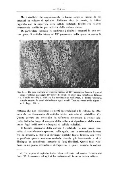 Monitore zoologico italiano