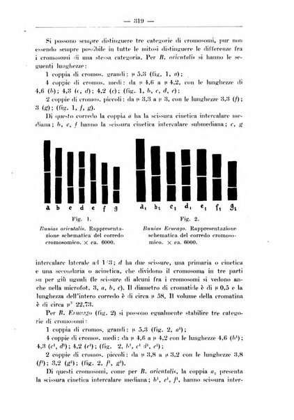 Monitore zoologico italiano