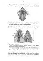 giornale/TO00014635/1936/unico/00000386