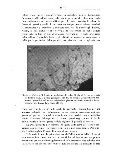 Monitore zoologico italiano