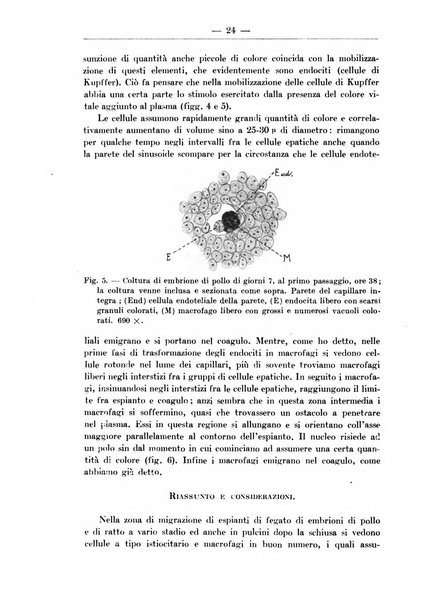 Monitore zoologico italiano