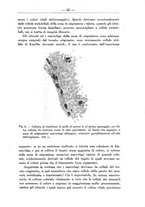 giornale/TO00014635/1937/unico/00000043