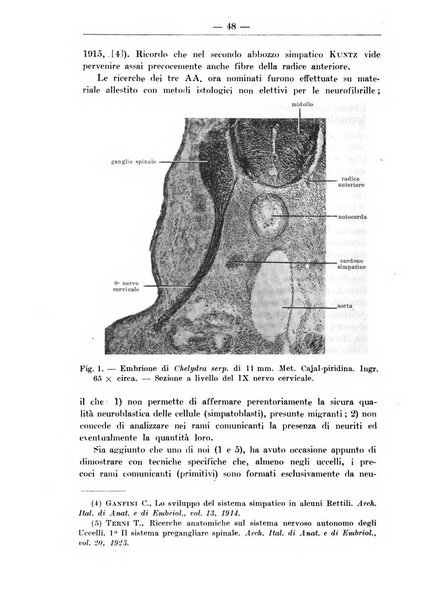 Monitore zoologico italiano