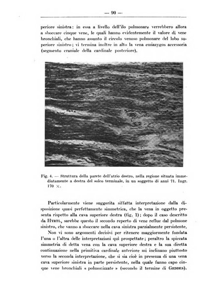 Monitore zoologico italiano