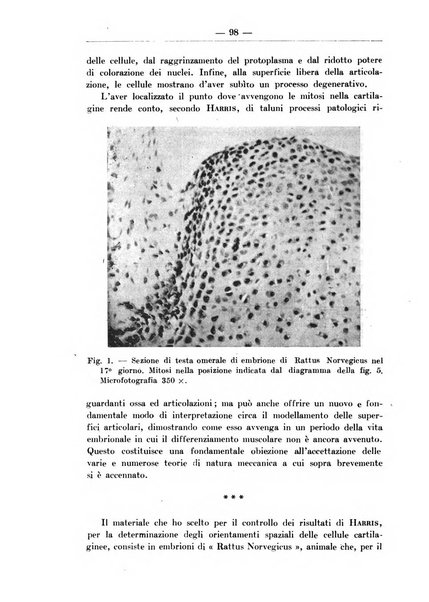 Monitore zoologico italiano