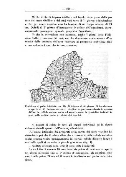 Monitore zoologico italiano