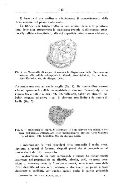 Monitore zoologico italiano