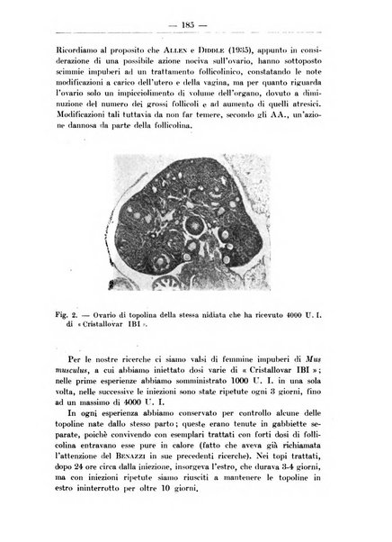 Monitore zoologico italiano