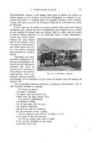 giornale/TO00014738/1920-1921/unico/00000229