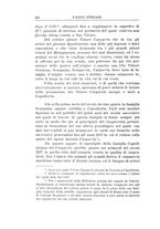 giornale/TO00014758/1903-1904/unico/00000248