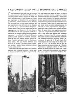 giornale/TO00015043/1939-1940/unico/00000008