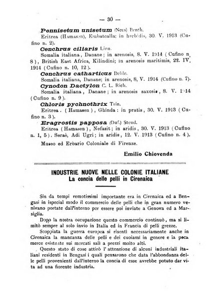 L'Africa italiana bollettino della Società africana d'Italia