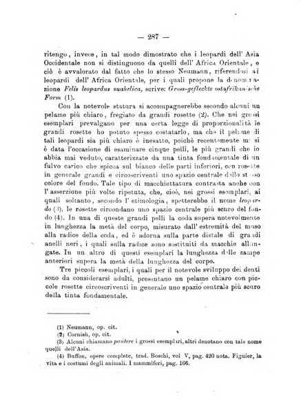 L'Africa italiana bollettino della Società africana d'Italia