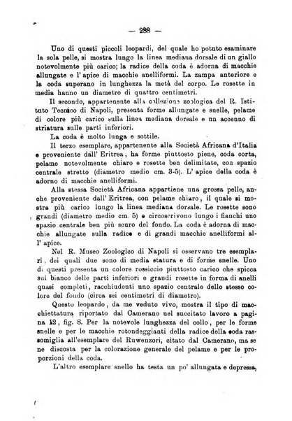 L'Africa italiana bollettino della Società africana d'Italia