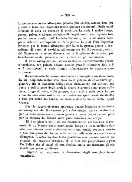 L'Africa italiana bollettino della Società africana d'Italia