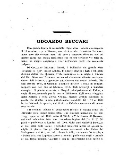 L'Africa italiana bollettino della Società africana d'Italia