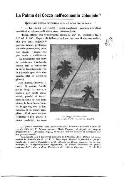 L'Africa italiana bollettino della Società africana d'Italia