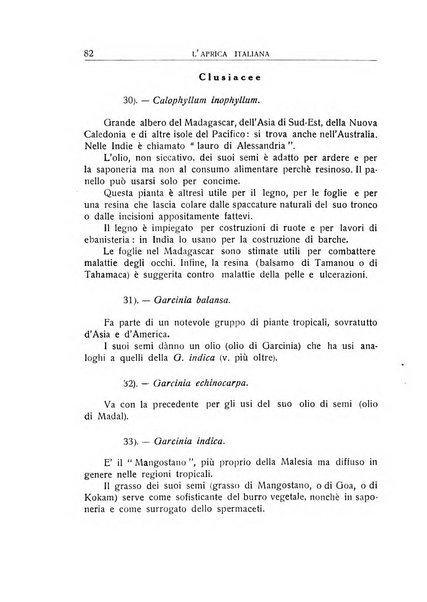 L'Africa italiana bollettino della Società africana d'Italia