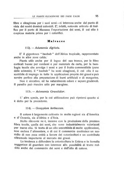 L'Africa italiana bollettino della Società africana d'Italia