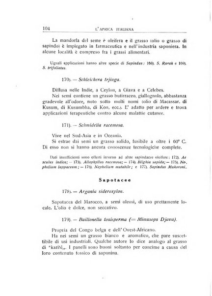 L'Africa italiana bollettino della Società africana d'Italia